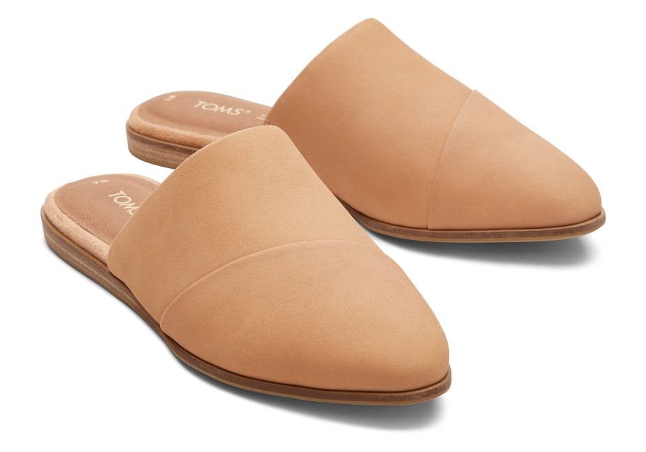 Toms Yeşim Düz Bal