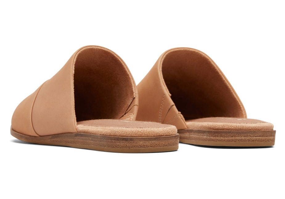 Toms Yeşim Düz Bal