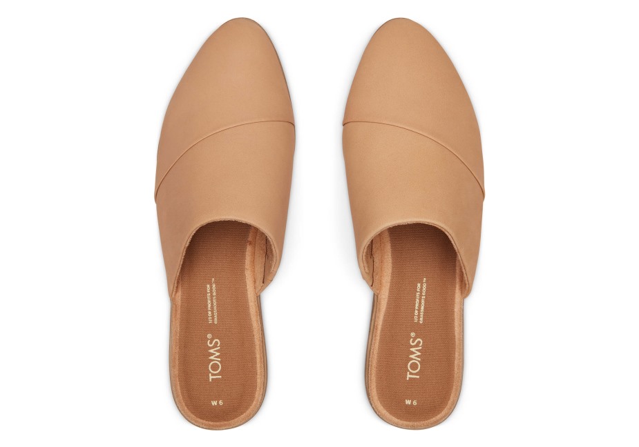 Toms Yeşim Düz Bal