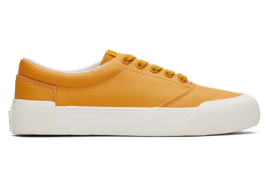 Toms Fenix Altın Sarısı