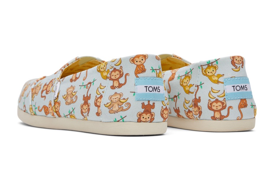Toms Alpargata Maymunları Mavi Maymunlar