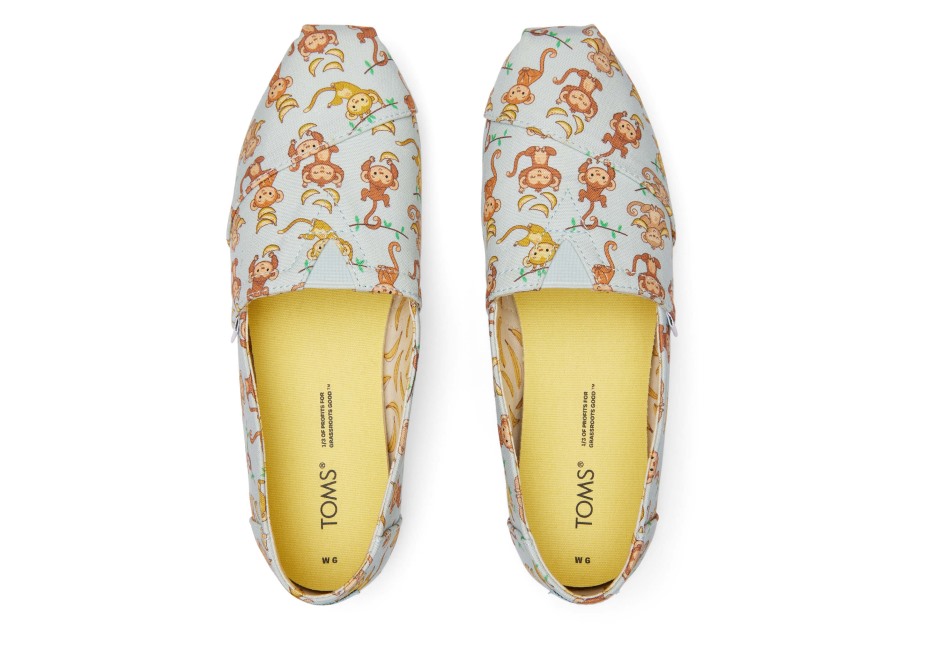 Toms Alpargata Maymunları Mavi Maymunlar