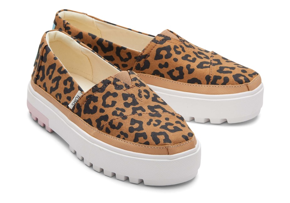 Toms Ebegümeci Katır Pembe Tiftik