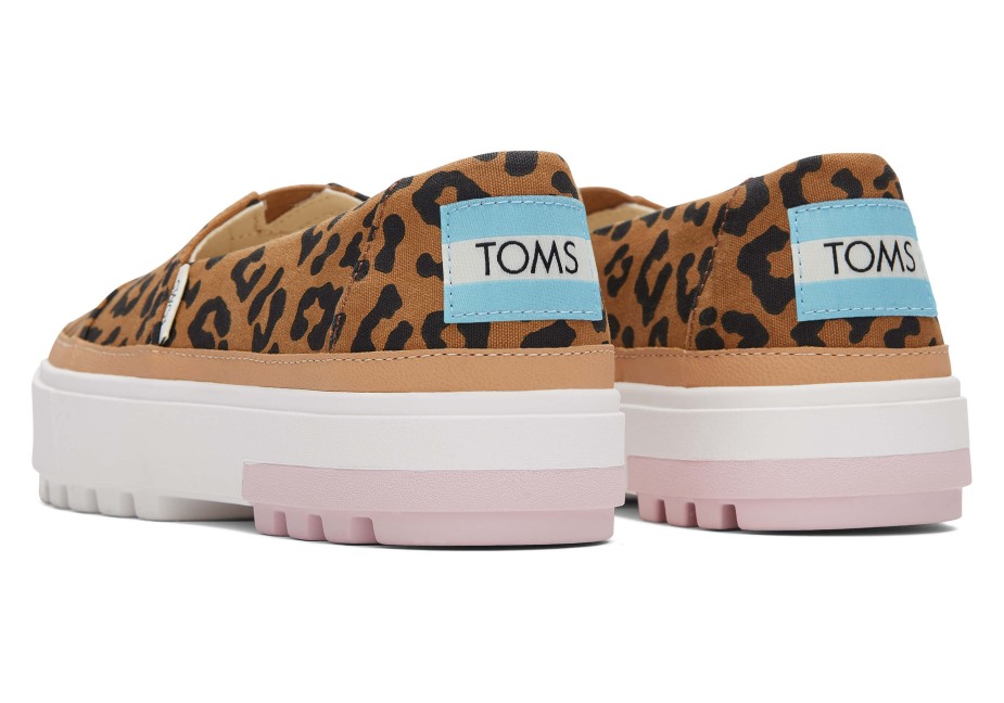 Toms Ebegümeci Katır Pembe Tiftik
