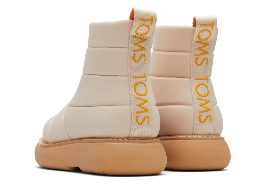 Toms Ebegümeci Kirpi Kirpi Bej