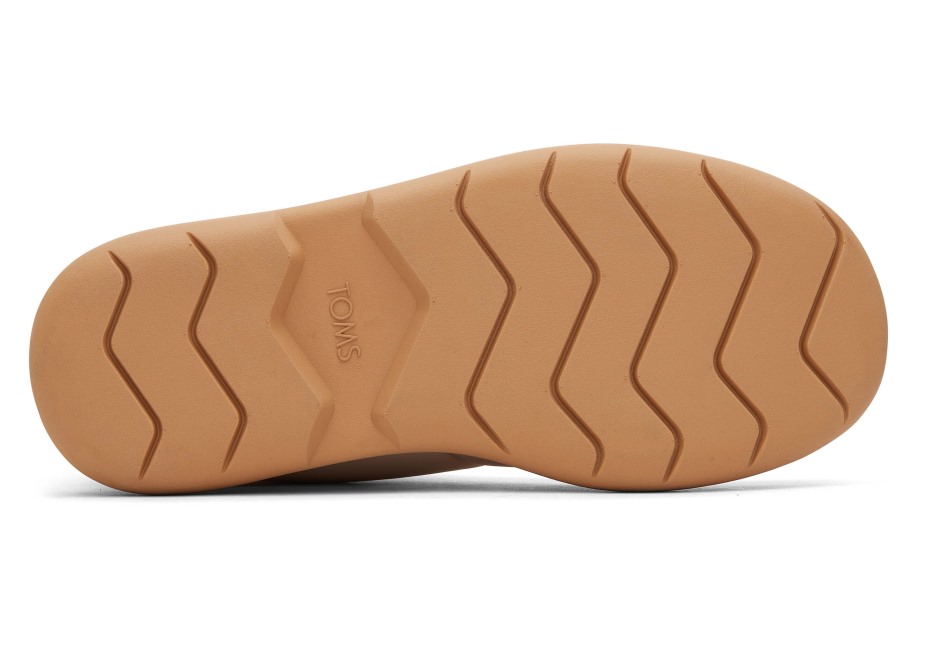 Toms Ebegümeci Kirpi Kirpi Bej