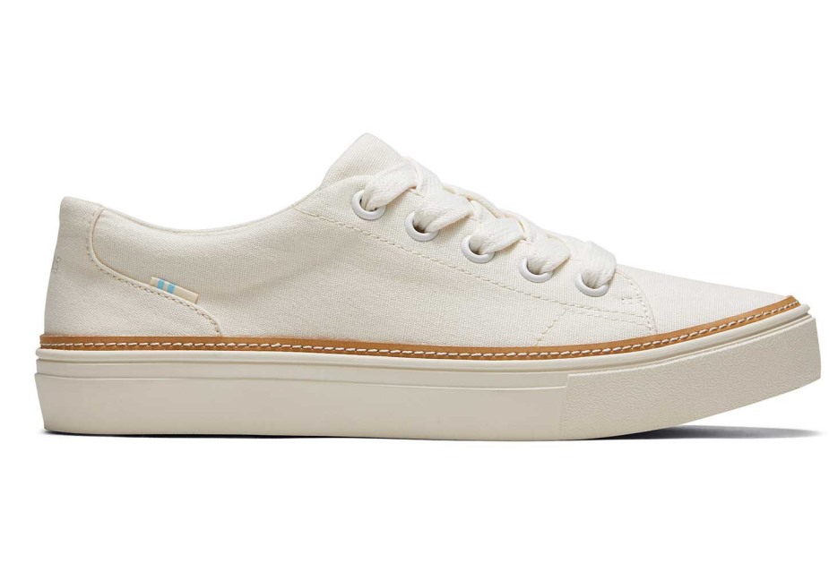 Toms Alex Spor Ayakkabı Huş Ağacı