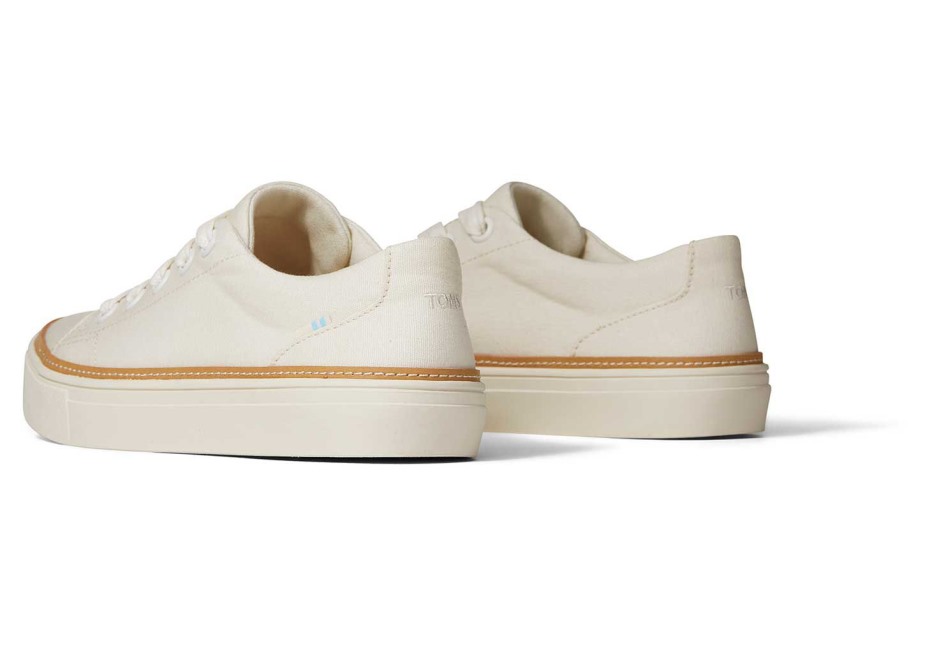Toms Alex Spor Ayakkabı Huş Ağacı