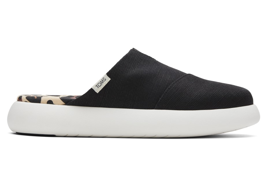 Toms Ebegümeci Katır Siyah