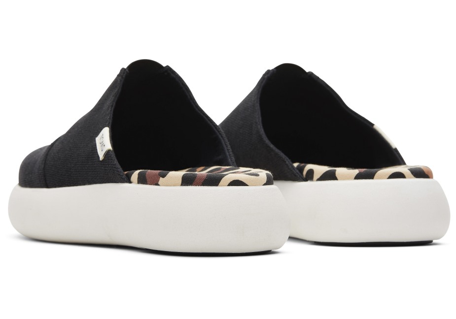 Toms Ebegümeci Katır Siyah