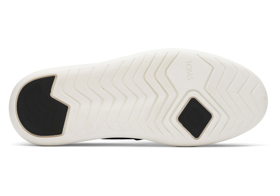 Toms Ebegümeci Mirası Tuval Siyah