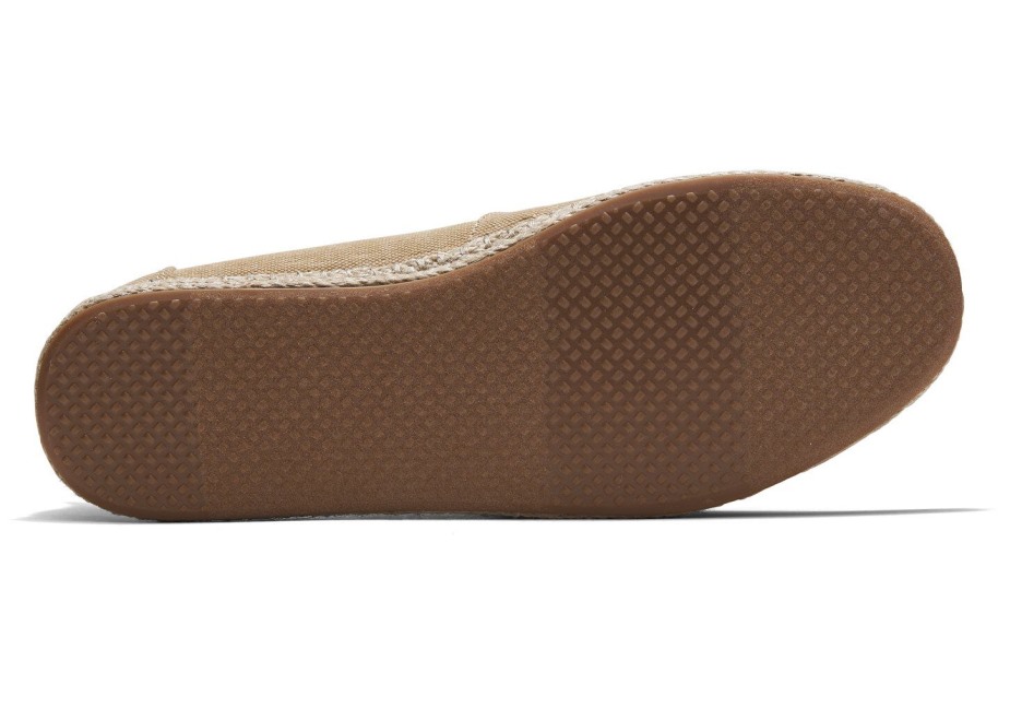 Toms Espadril Bronz Espadril