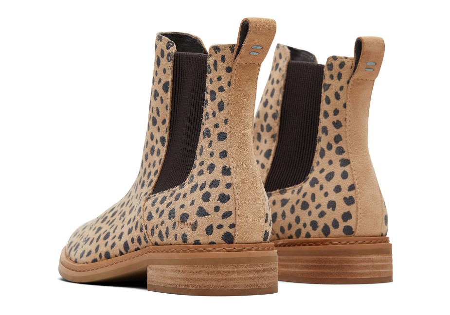 Toms Charlie Bootie Bronz çita