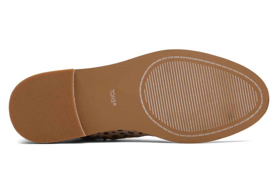 Toms Charlie Bootie Bronz çita