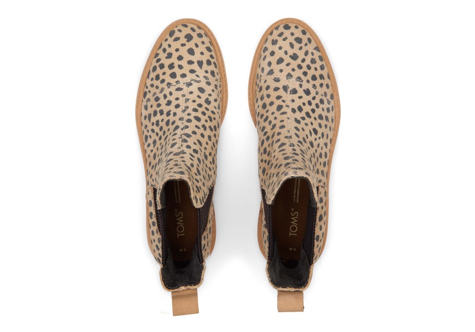 Toms Charlie Bootie Bronz çita
