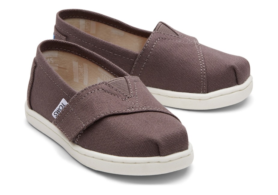 Toms Gri Alpargata Külü