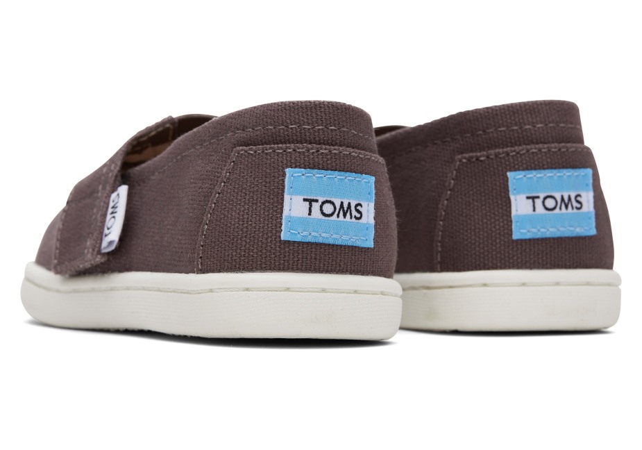 Toms Gri Alpargata Külü