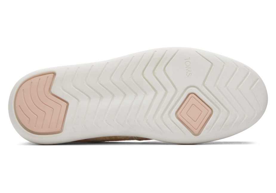 Toms Ebegümeci şeker Pembesi