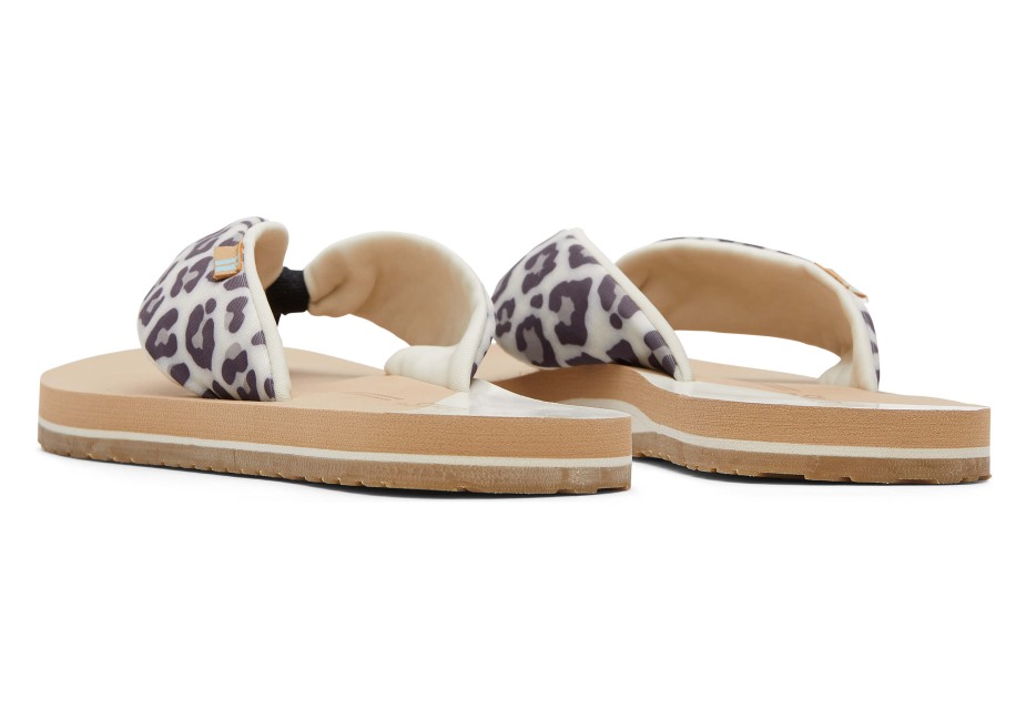 Toms Piper Parmak Arası Terlik Geri Almak Kar Leoparı