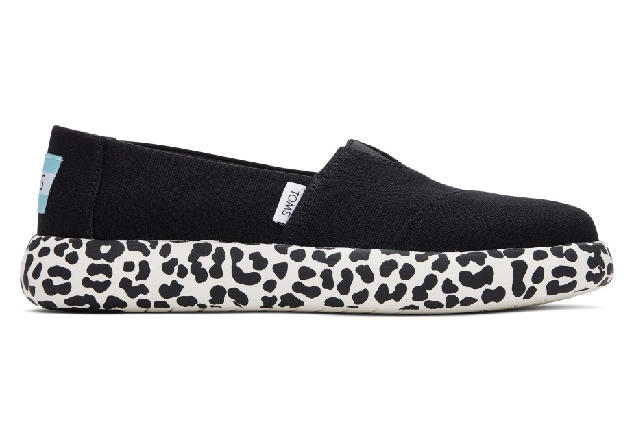 Toms Ebegümeci Siyah Leopar