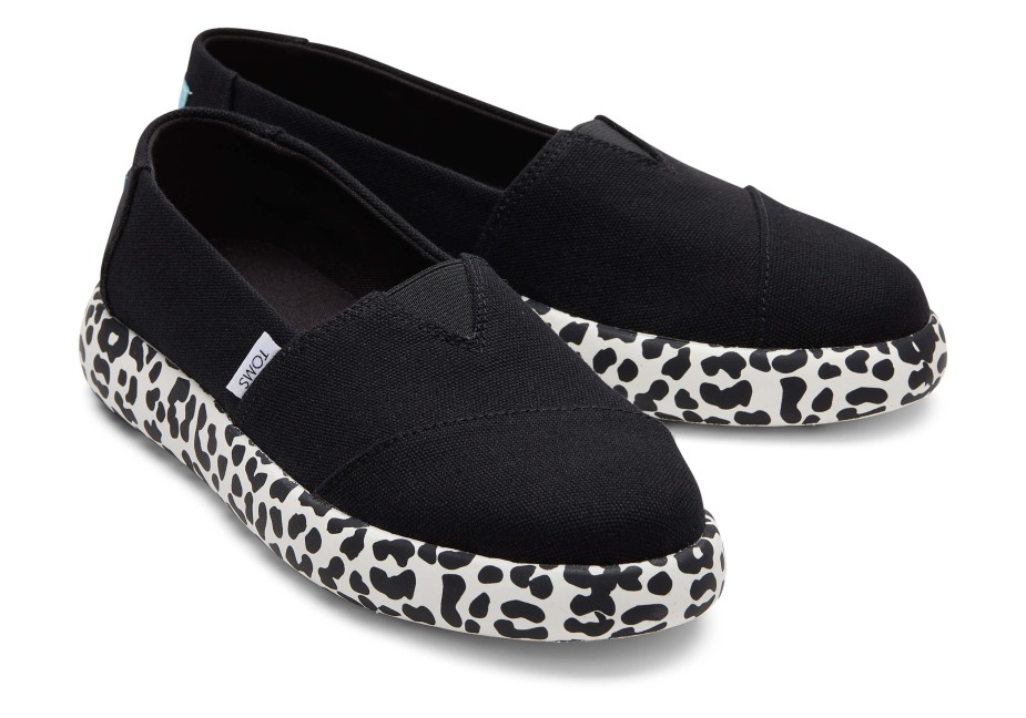 Toms Ebegümeci Siyah Leopar