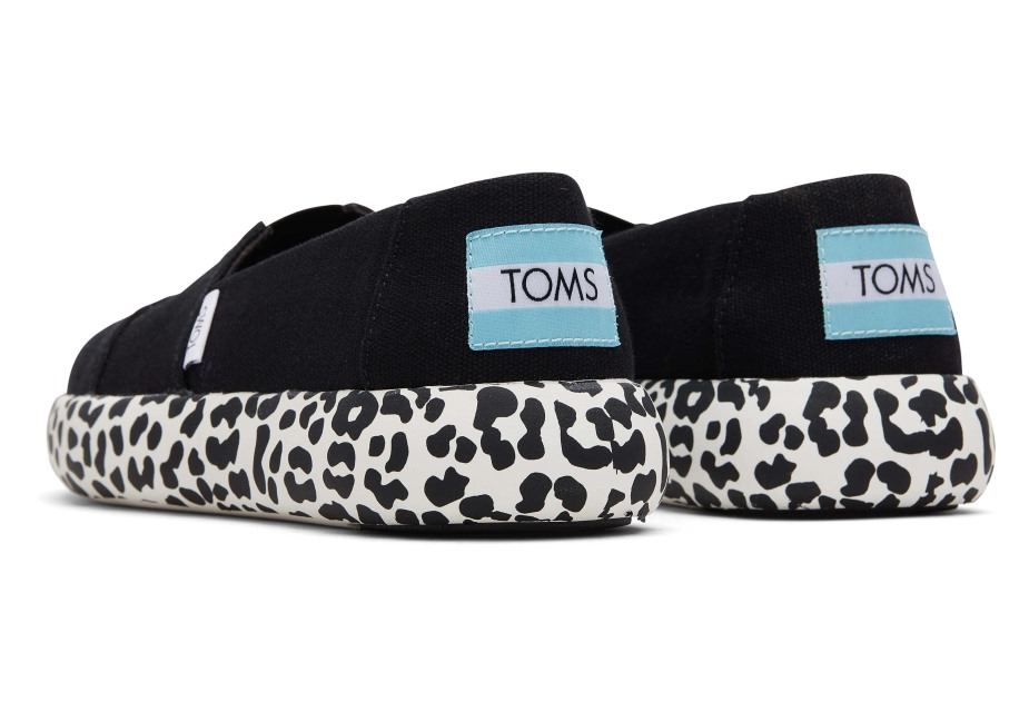 Toms Ebegümeci Siyah Leopar