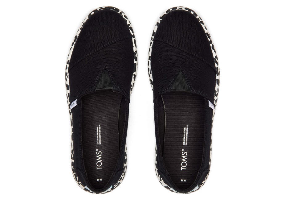 Toms Ebegümeci Siyah Leopar