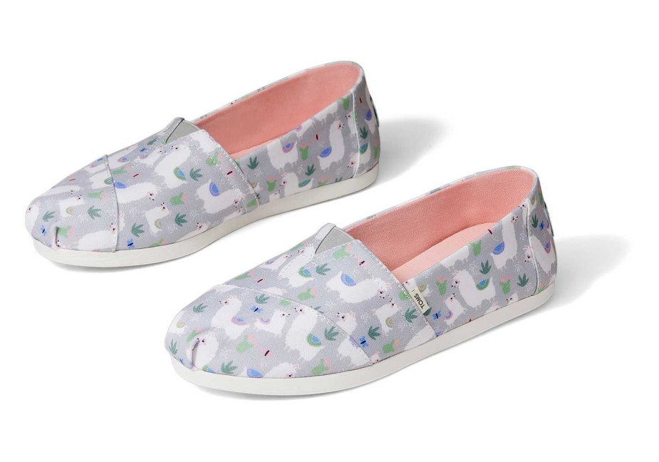 Toms Alpaka Alpargata Orta Gri
