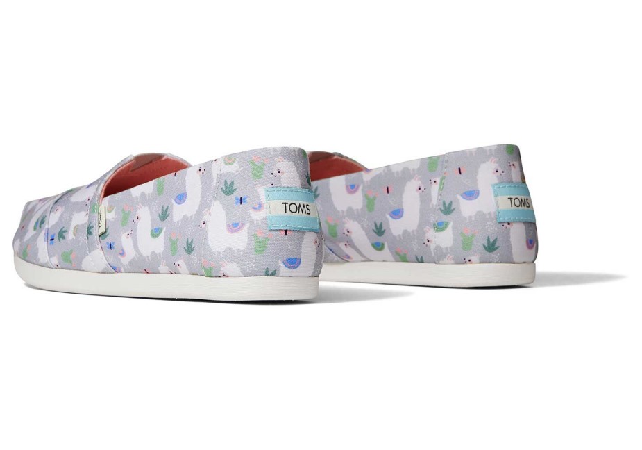 Toms Alpaka Alpargata Orta Gri