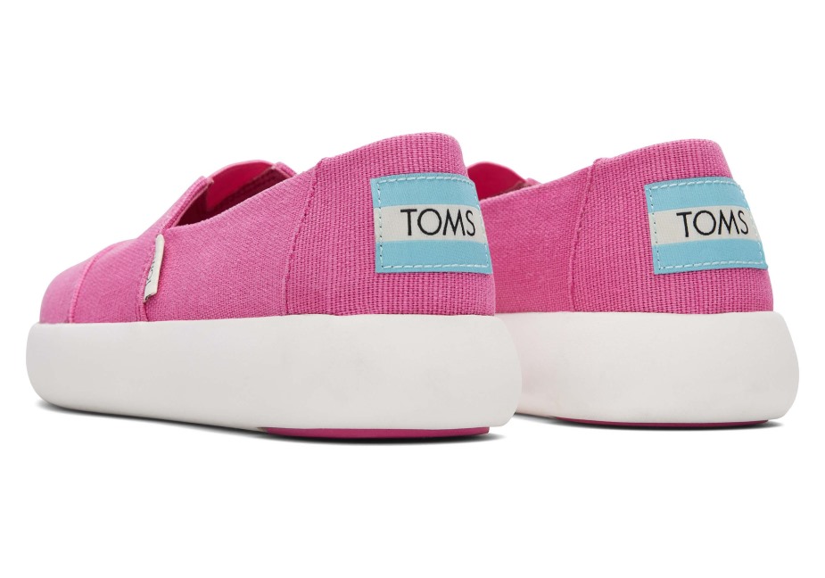 Toms Ebegümeci Fuşya Gülü