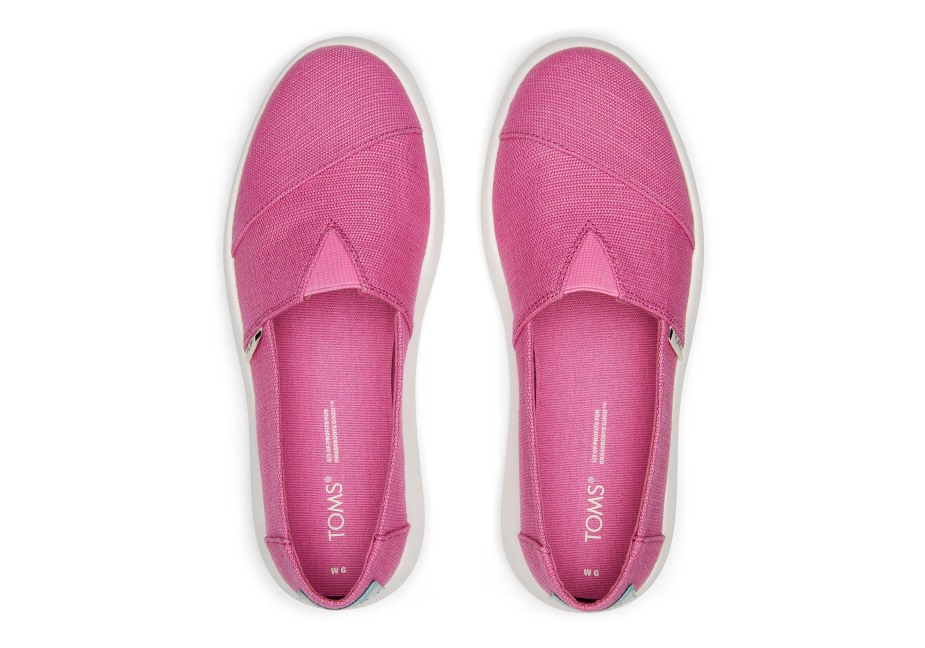 Toms Ebegümeci Fuşya Gülü