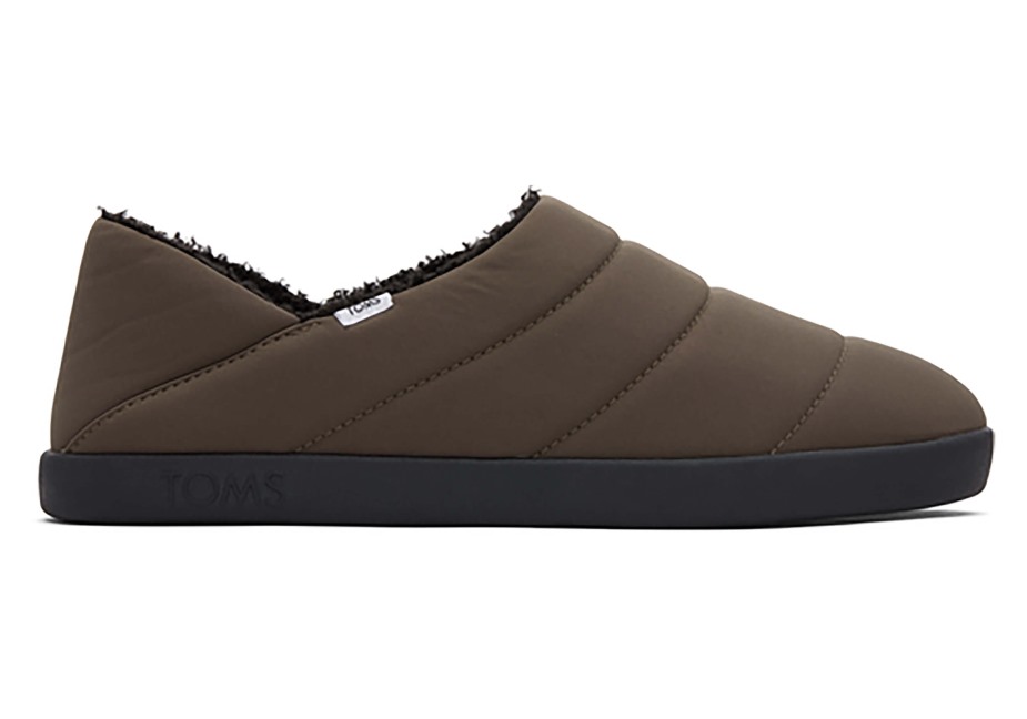 Toms Ezra Terlik Asfalt Zeytin