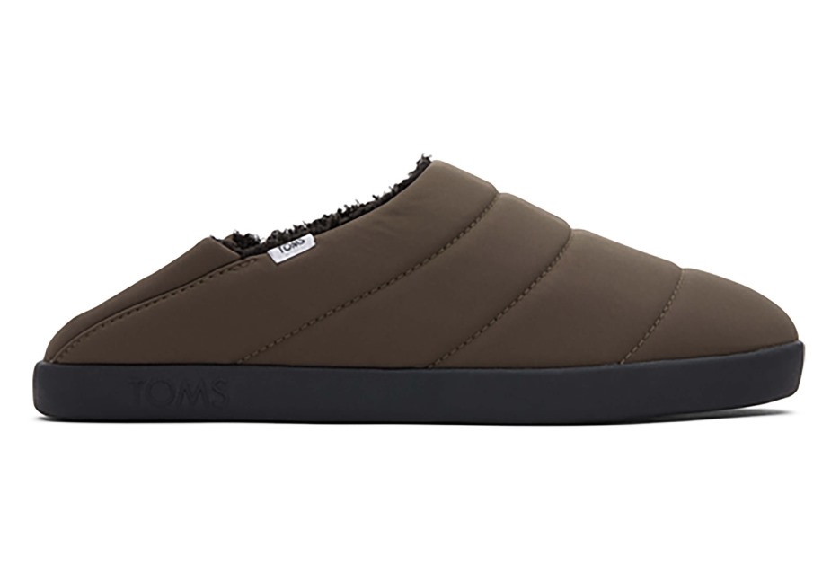 Toms Ezra Terlik Asfalt Zeytin