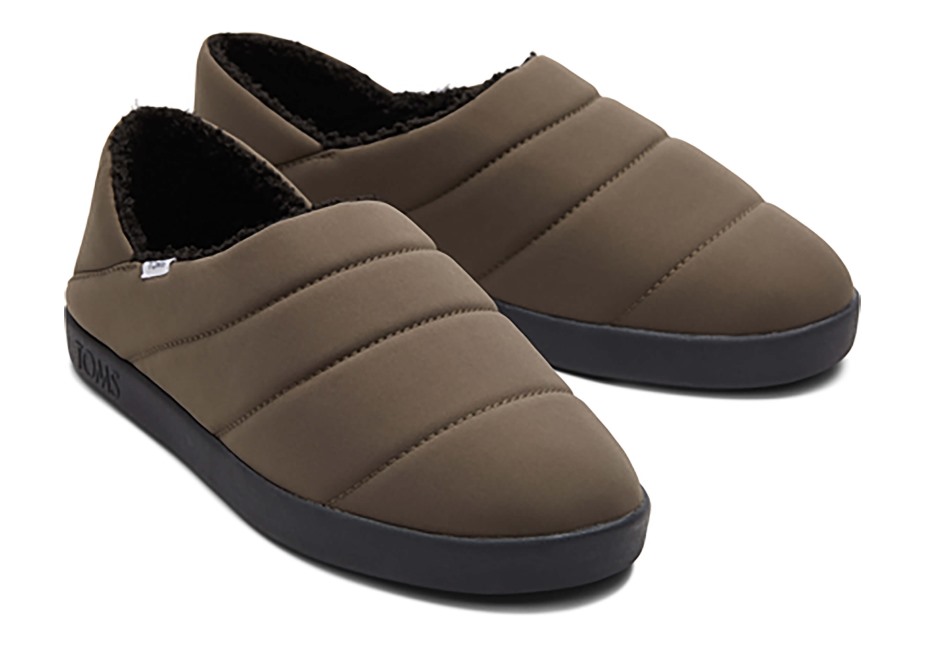 Toms Ezra Terlik Asfalt Zeytin