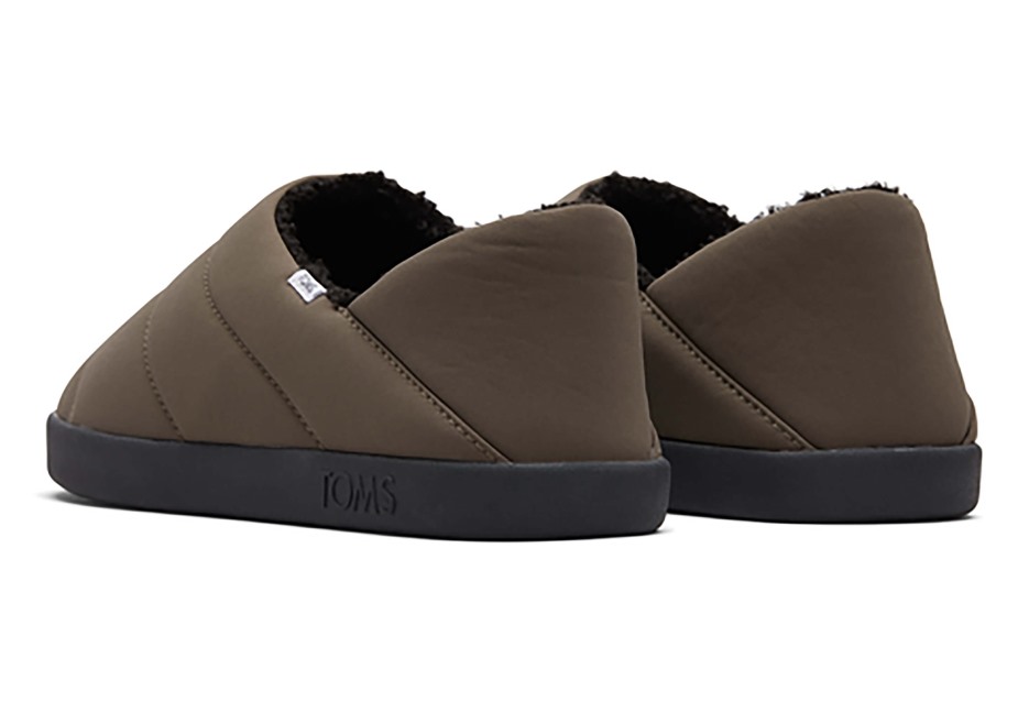 Toms Ezra Terlik Asfalt Zeytin
