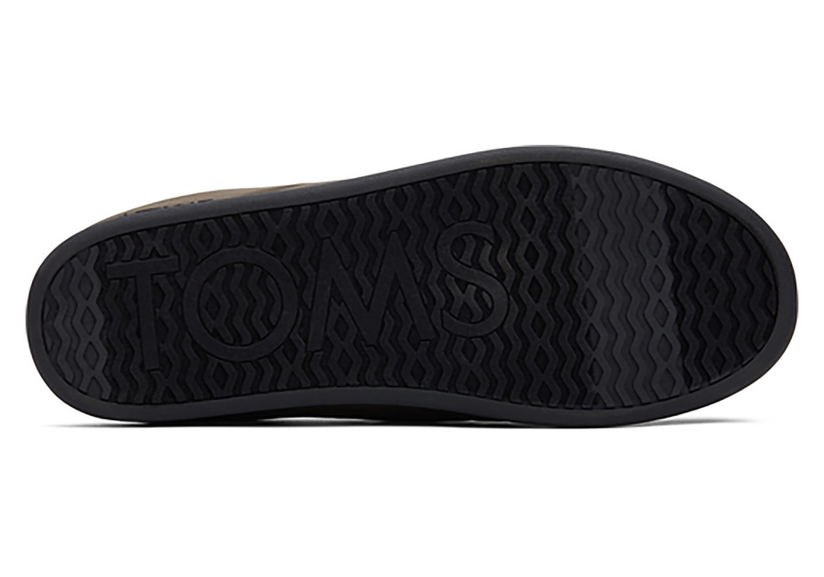 Toms Ezra Terlik Asfalt Zeytin