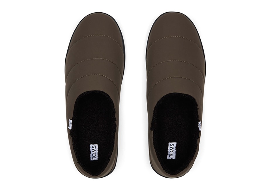 Toms Ezra Terlik Asfalt Zeytin