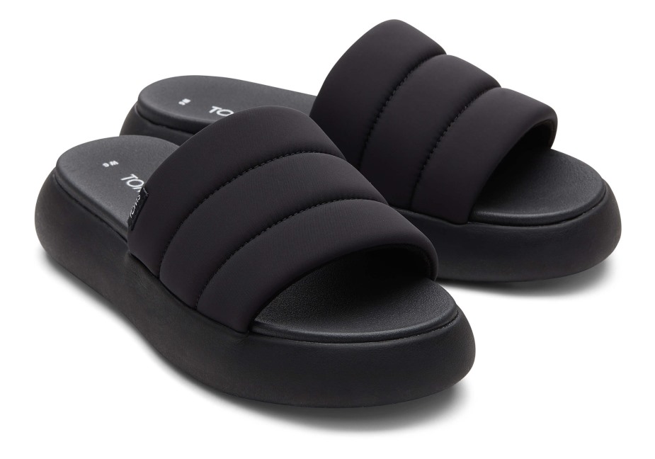 Toms Ebegümeci Kaydırağı Siyah-siyah