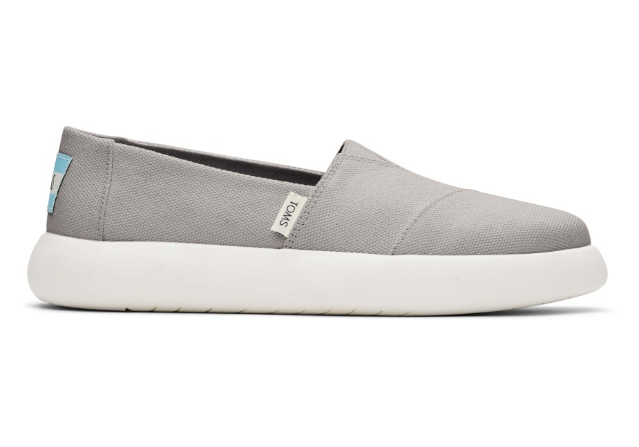 Toms Ebegümeci Miras Tuval çiseleyen Gri