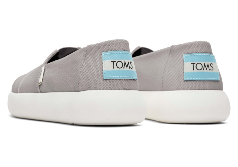 Toms Ebegümeci Miras Tuval çiseleyen Gri