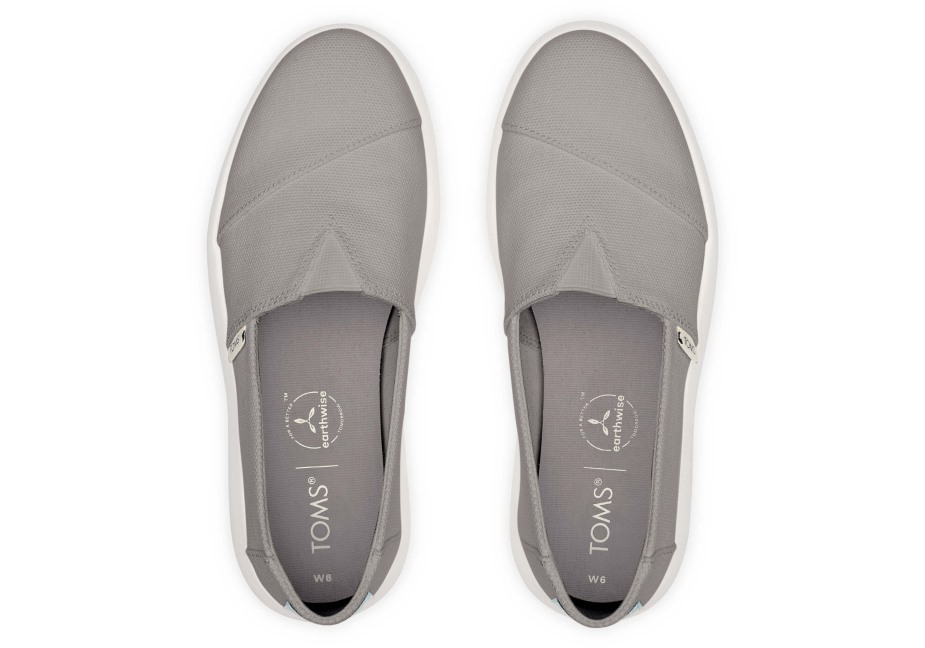 Toms Ebegümeci Miras Tuval çiseleyen Gri
