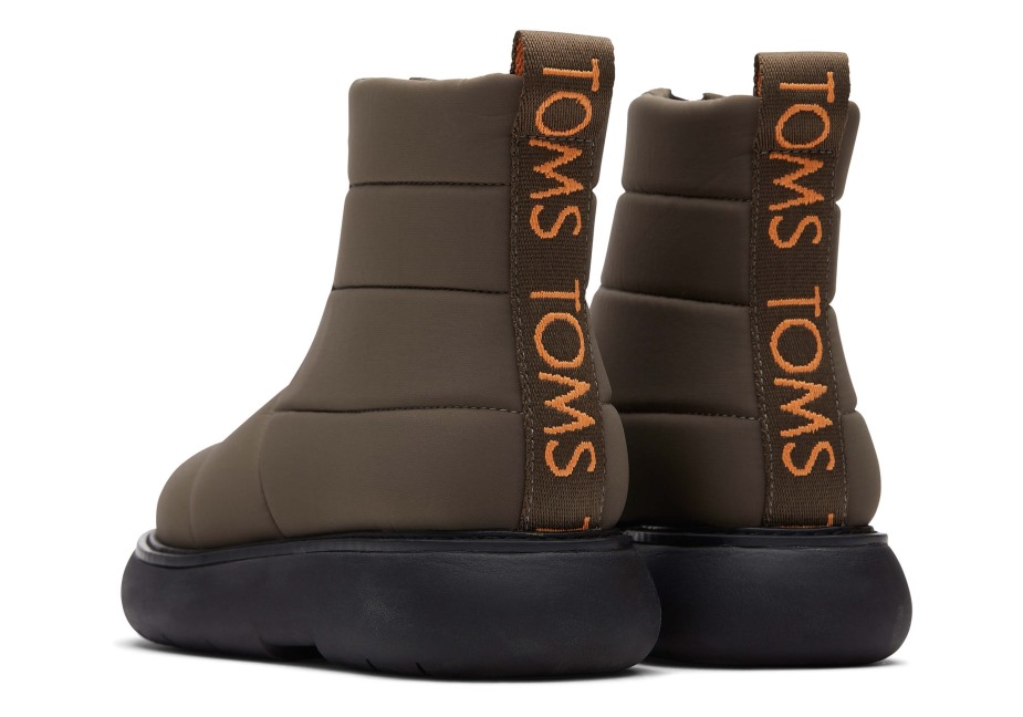 Toms Repreve Ebegümeci Kirpi Kirpi Zeytin