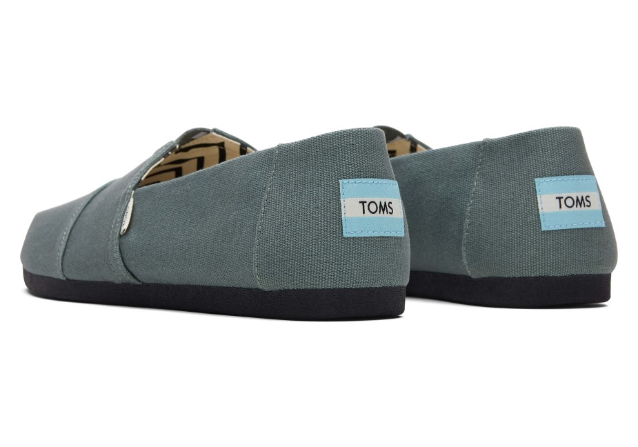 Toms Alpargata Miras Tuval Bonsai Yeşili
