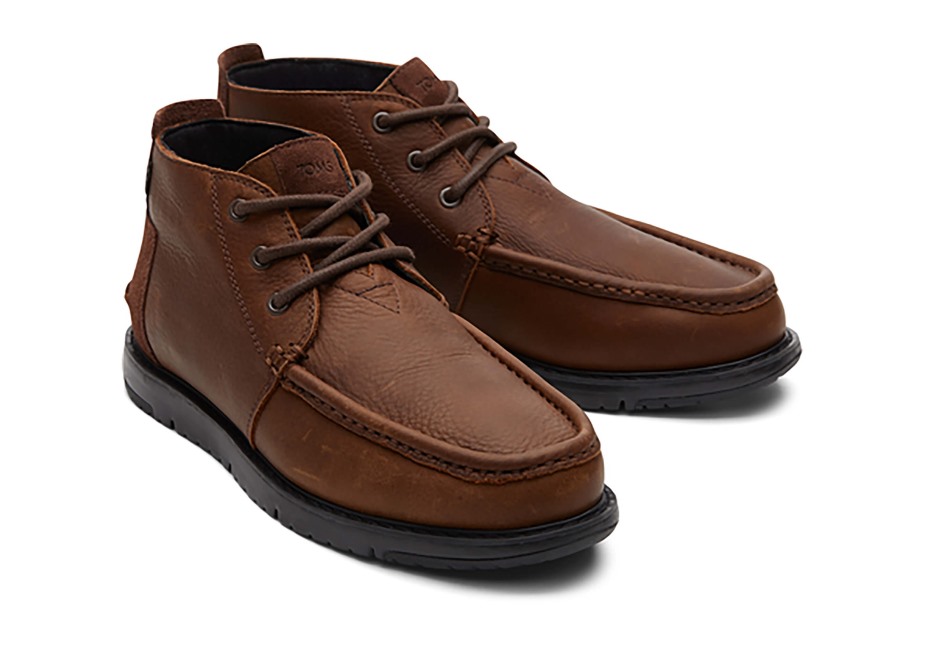 Toms Chukka çizme Suya Dayanıklı Hindiba Kahverengi