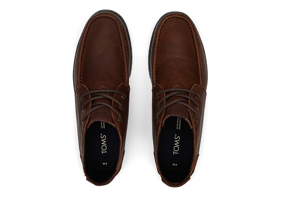 Toms Chukka çizme Suya Dayanıklı Hindiba Kahverengi