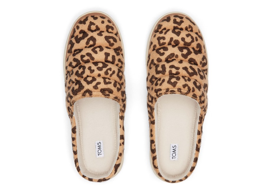 Toms Adaçayı Terlik Leopar