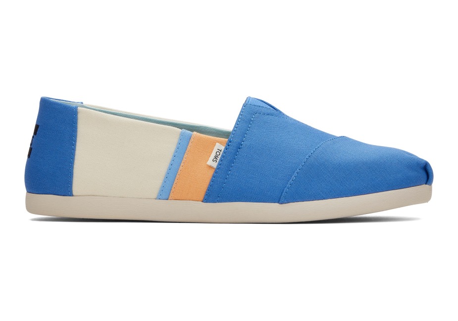 Toms Renk Bloğu Alpargata Mavisi
