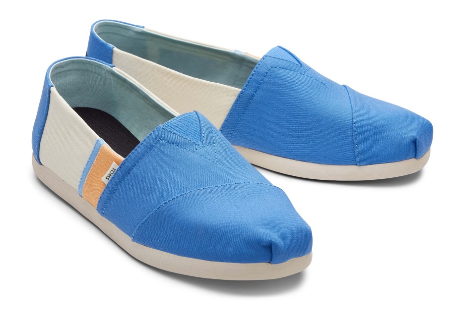 Toms Renk Bloğu Alpargata Mavisi