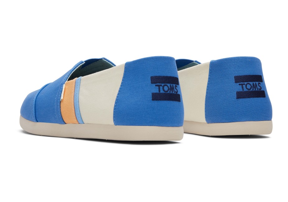 Toms Renk Bloğu Alpargata Mavisi