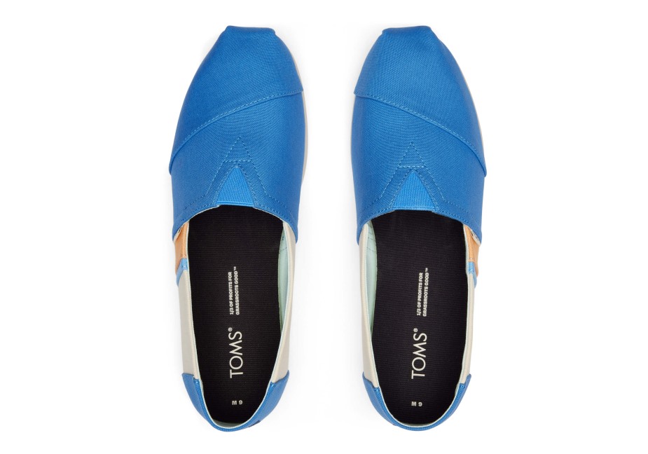 Toms Renk Bloğu Alpargata Mavisi